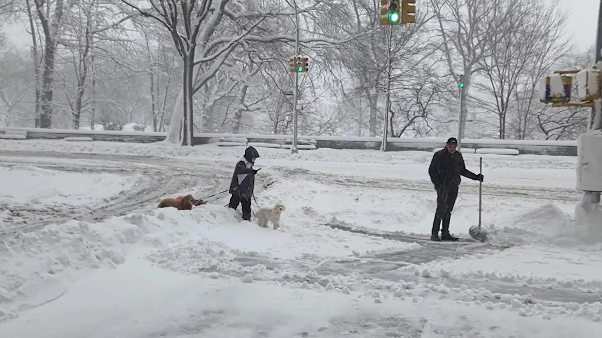 Ausnahmezustand in New York! Heftiger Schneesturm sorgt für Chaos in den USA Stromausfälle und Straßensperrungen