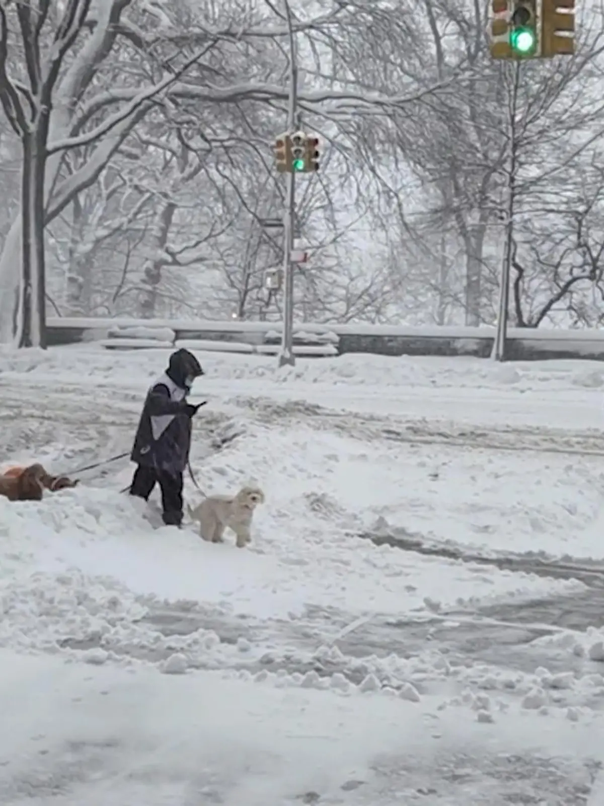 Bild zu: "Ausnahmezustand in New York! Heftiger Schneesturm sorgt für Chaos in den USA"