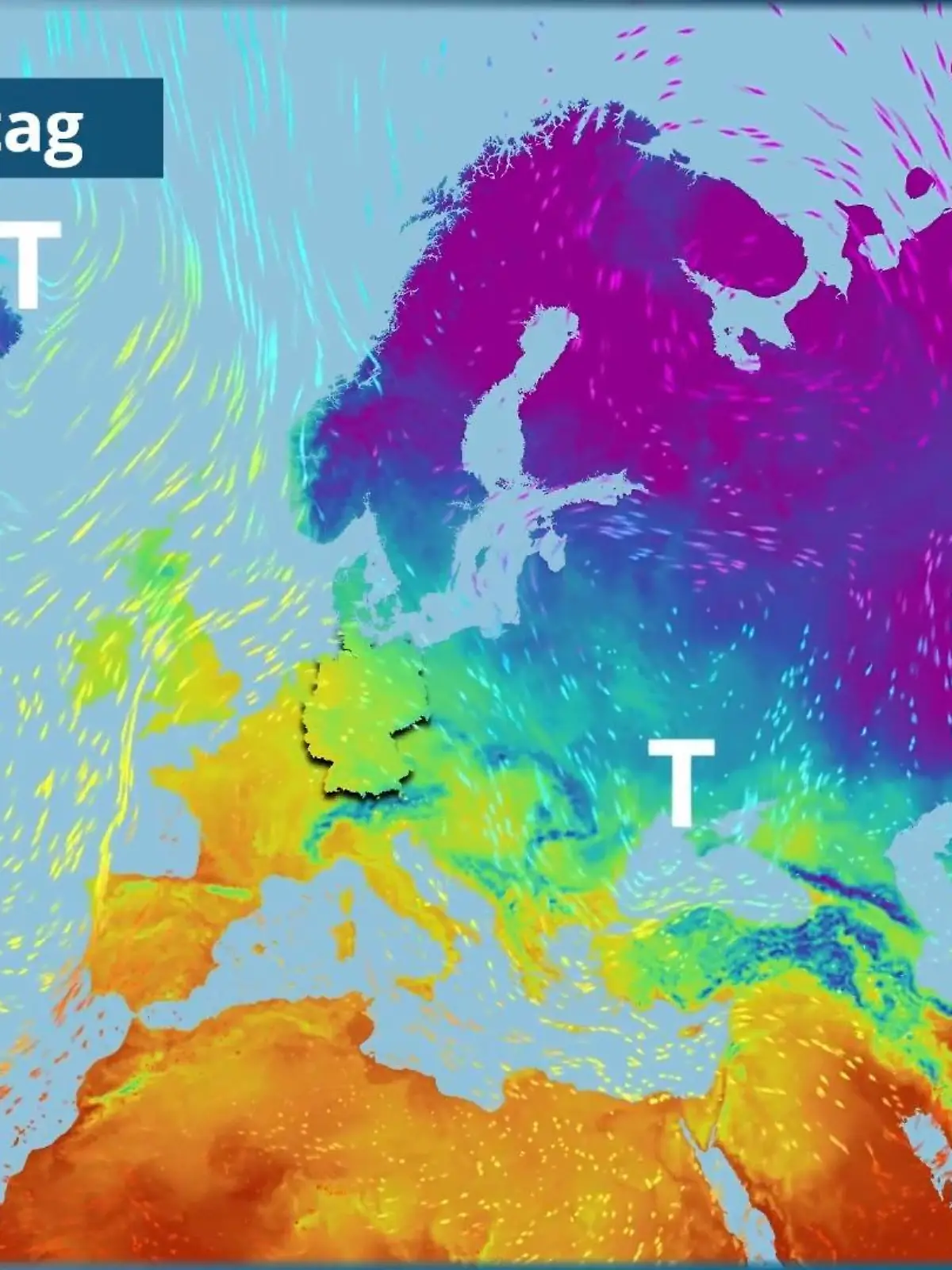Bild zu: "Spitzen bis 20 Grad - Frühlingsluft weht über Deutschland"