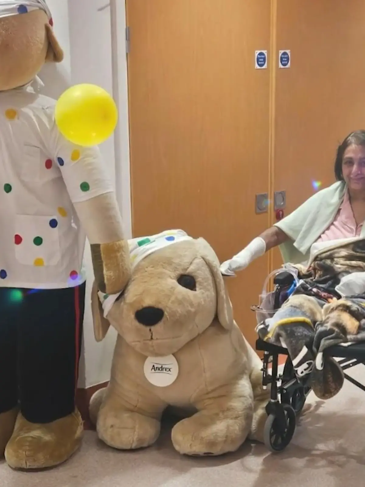 Bild zu: "Ihr Hund schleckte sie ab – Stunden später kämpft sie ums Überleben"