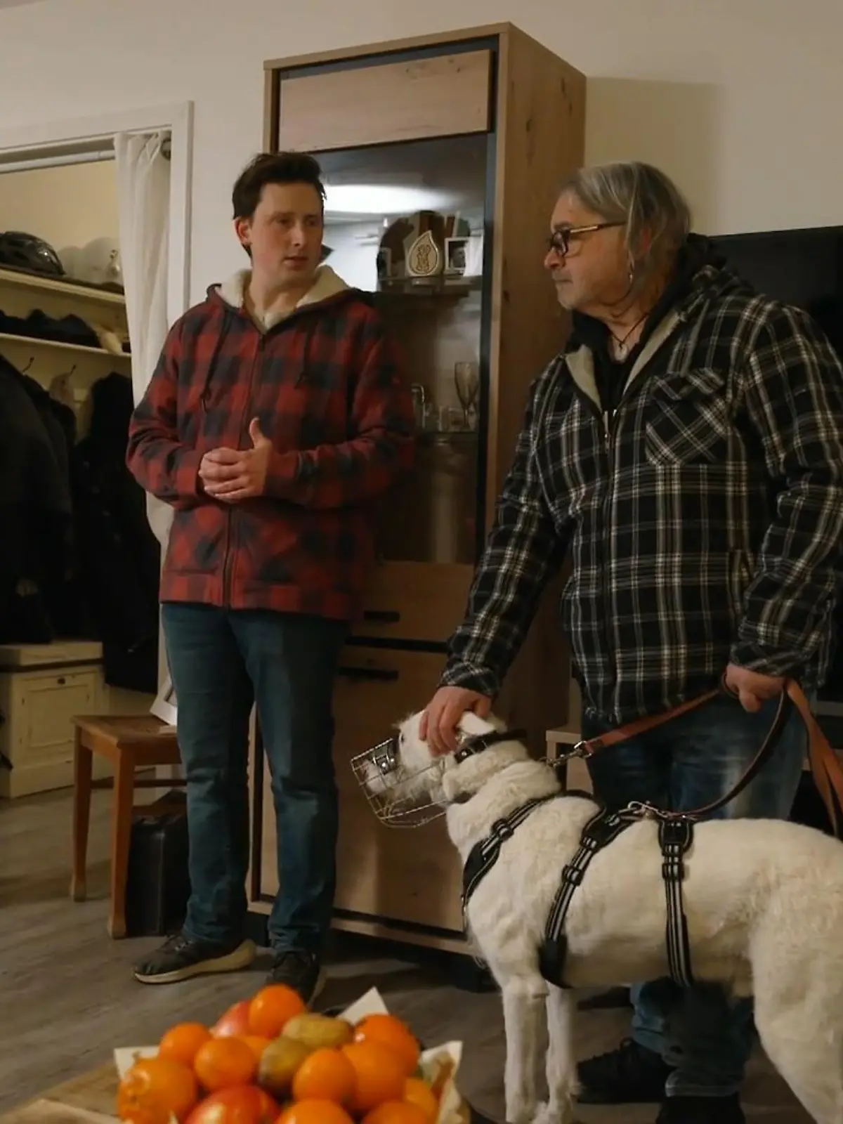 Bild zu: "Endlich Zuhause? Wird Elvis bei Kerstin und Antonello glücklich?"