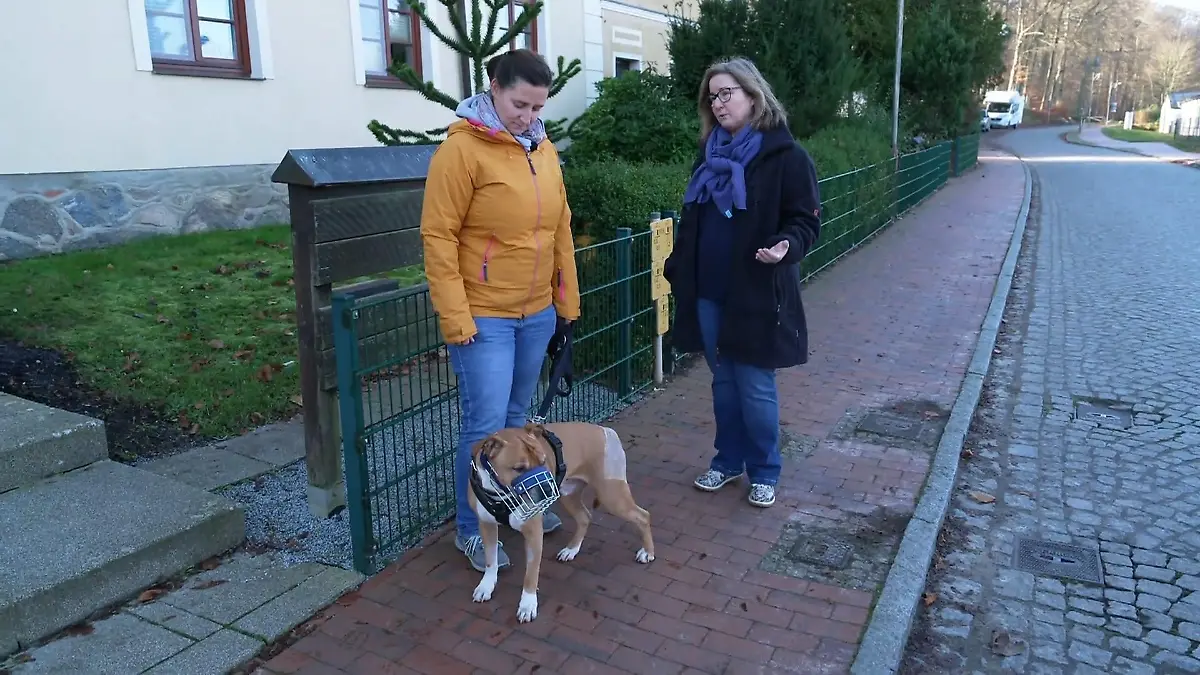 Findet Geronimo die Routine - mit Hilfe von Trainerin Nicole? Neues Zuhause, neue Regeln