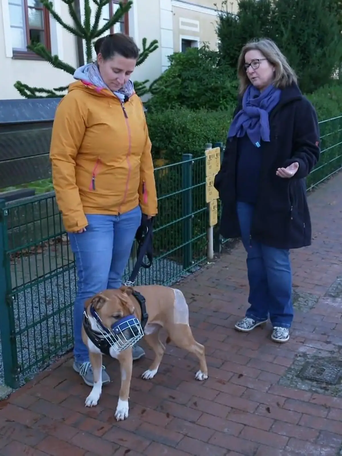 Bild zu: "Findet Geronimo die Routine - mit Hilfe von Trainerin Nicole?"