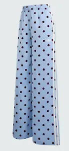 Satin Polka Dots Hose in Blau