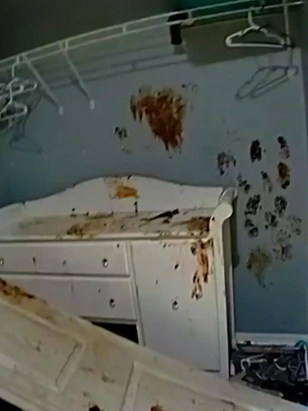 Sie aßen rohes Fleisch! Kinder aus verwahrloster Wohnung befreit.