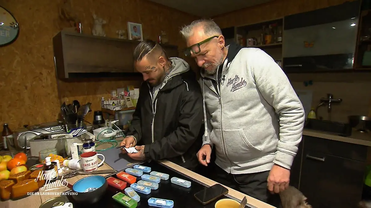 Werden die „Harten Hunde“ ihrer neuen Rolle gerecht? Fehler verboten