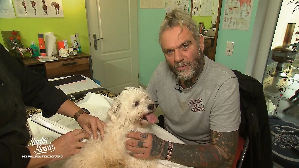 Ralf Seegers Sondereinsatz für Kalimero Er soll wieder laufen