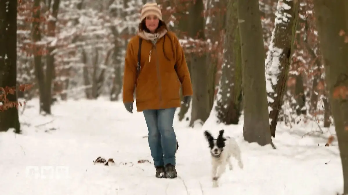 Schnüffeln, schlecken, staunen Endlich Schnee!