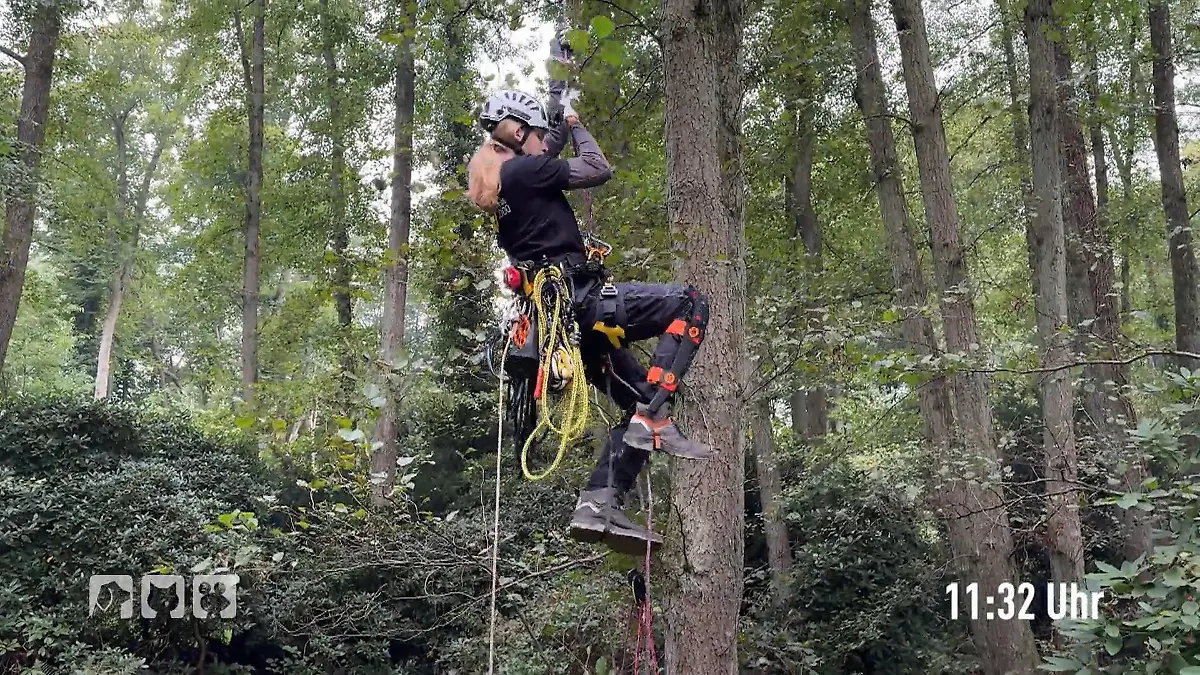 Plan B für die Katzenrettung? Unsicherer Aufstieg, große Gefahr