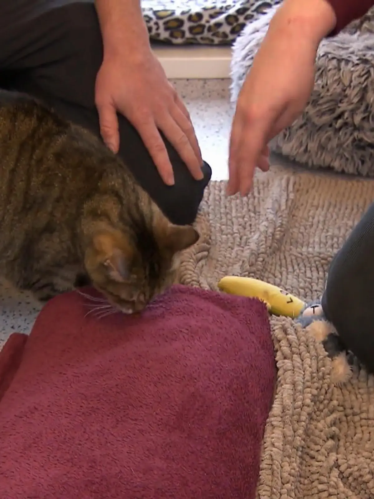 Bild zu: "Miriams Mini-Training gegen Langeweile"