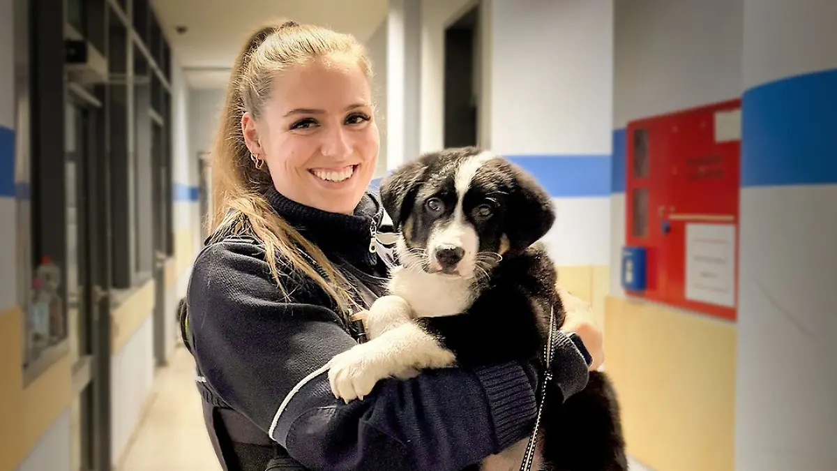 Damit die kleine Fellnase nicht ins Tierheim muss, nimmt diese Polizistin den Hund bei sich auf.