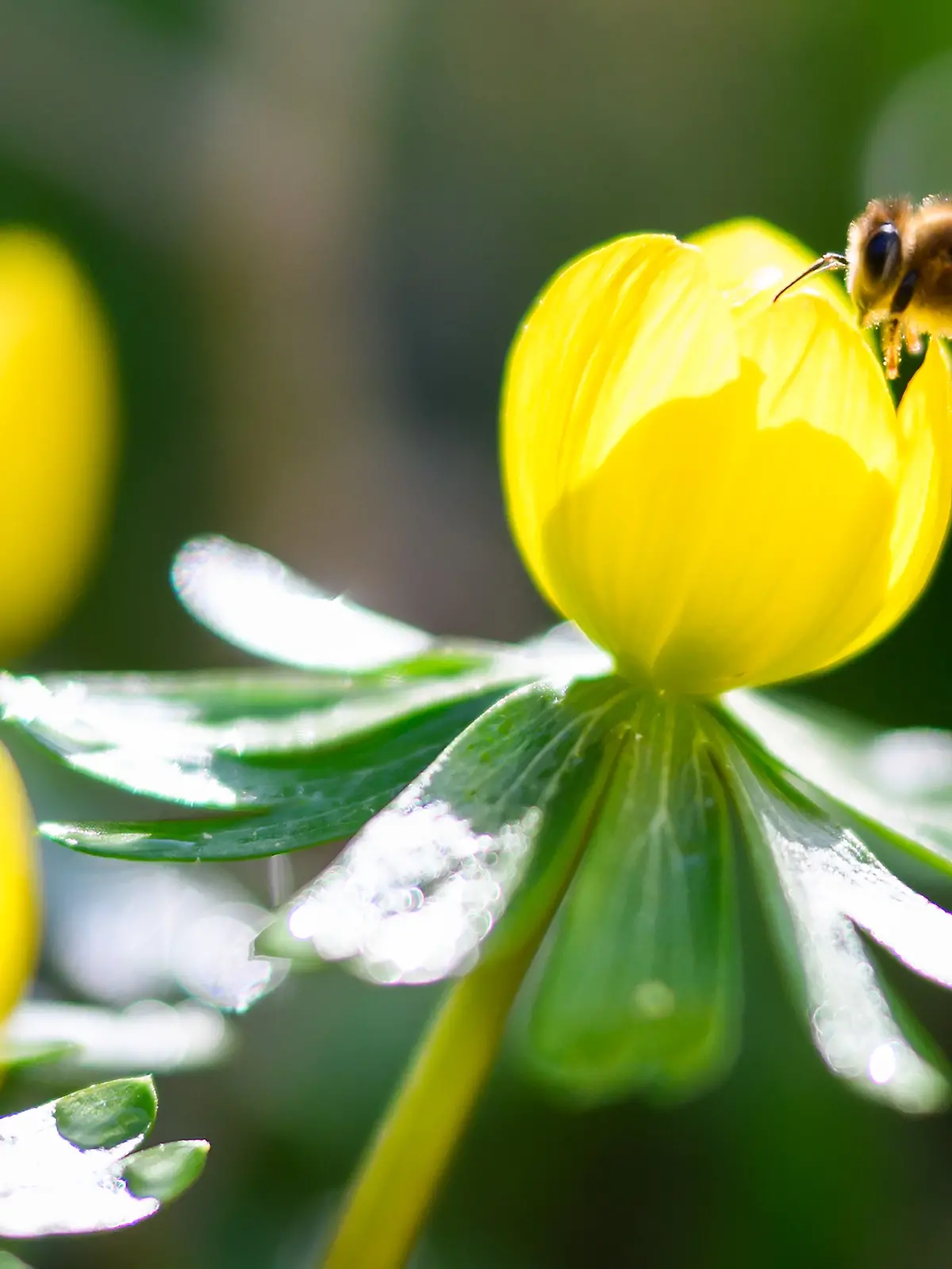 Frühlingshaftes Wetter in Niedersachsen