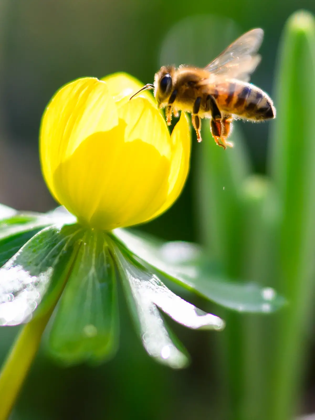 Frühlingshaftes Wetter in Niedersachsen