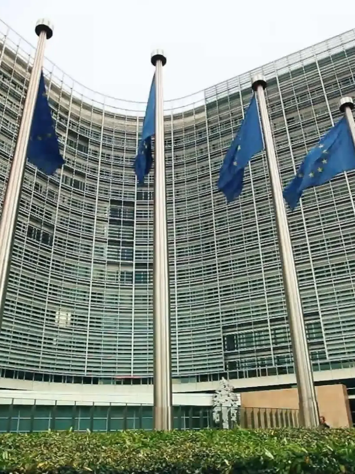 Bild zu: "AfD-Sumpf der Vetternwirtschaft noch größer als gedacht"