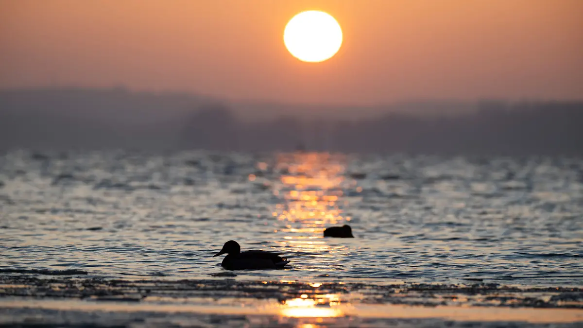 Wetter in Mecklenburg-Vorpommern