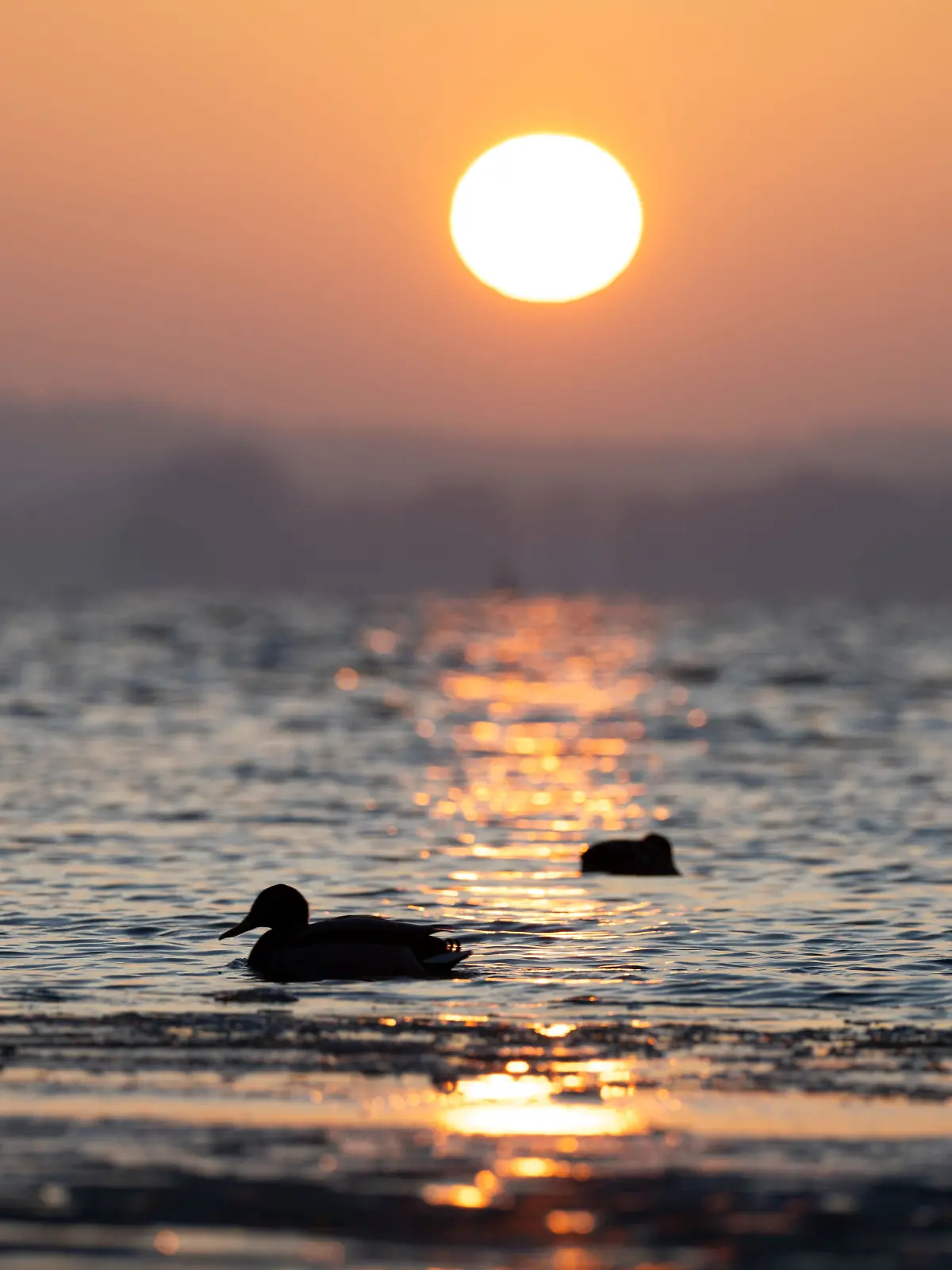 Wetter in Mecklenburg-Vorpommern