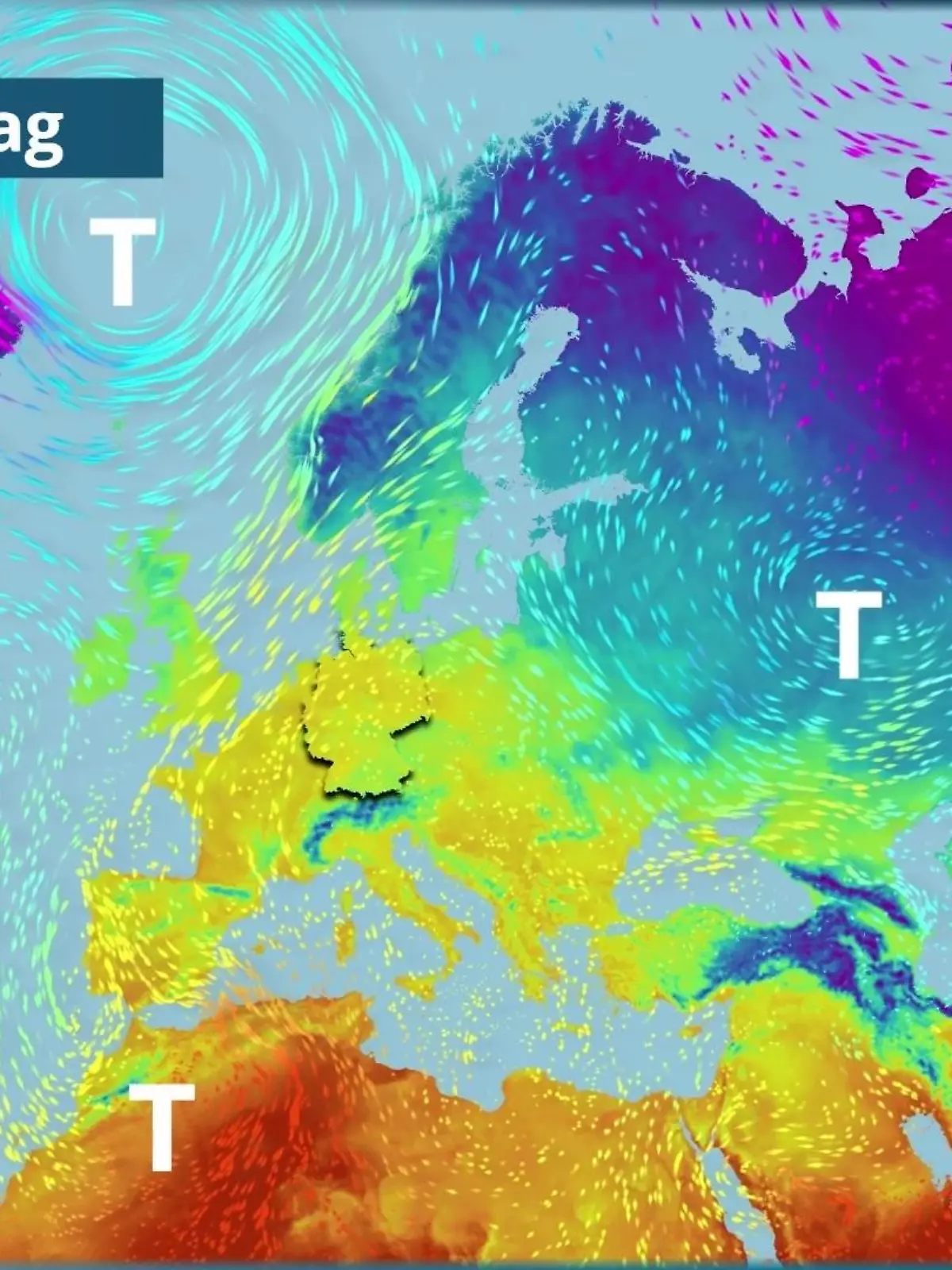 Bild zu: "Prognose vom 1. März"