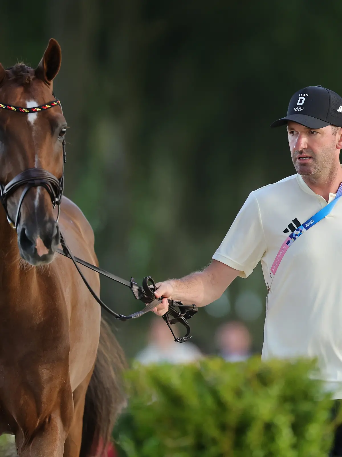 Bild zu: "Drohnen-Horror! Reitsport-Star bangt um Pfleger und Pferde"