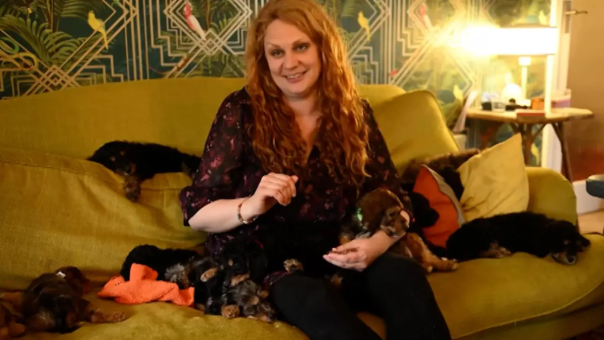 Rekord-Wurf! Diese seltenen Hundewelpen machen Miranda (42) schwerreich 17 Irish Doodle auf einmal