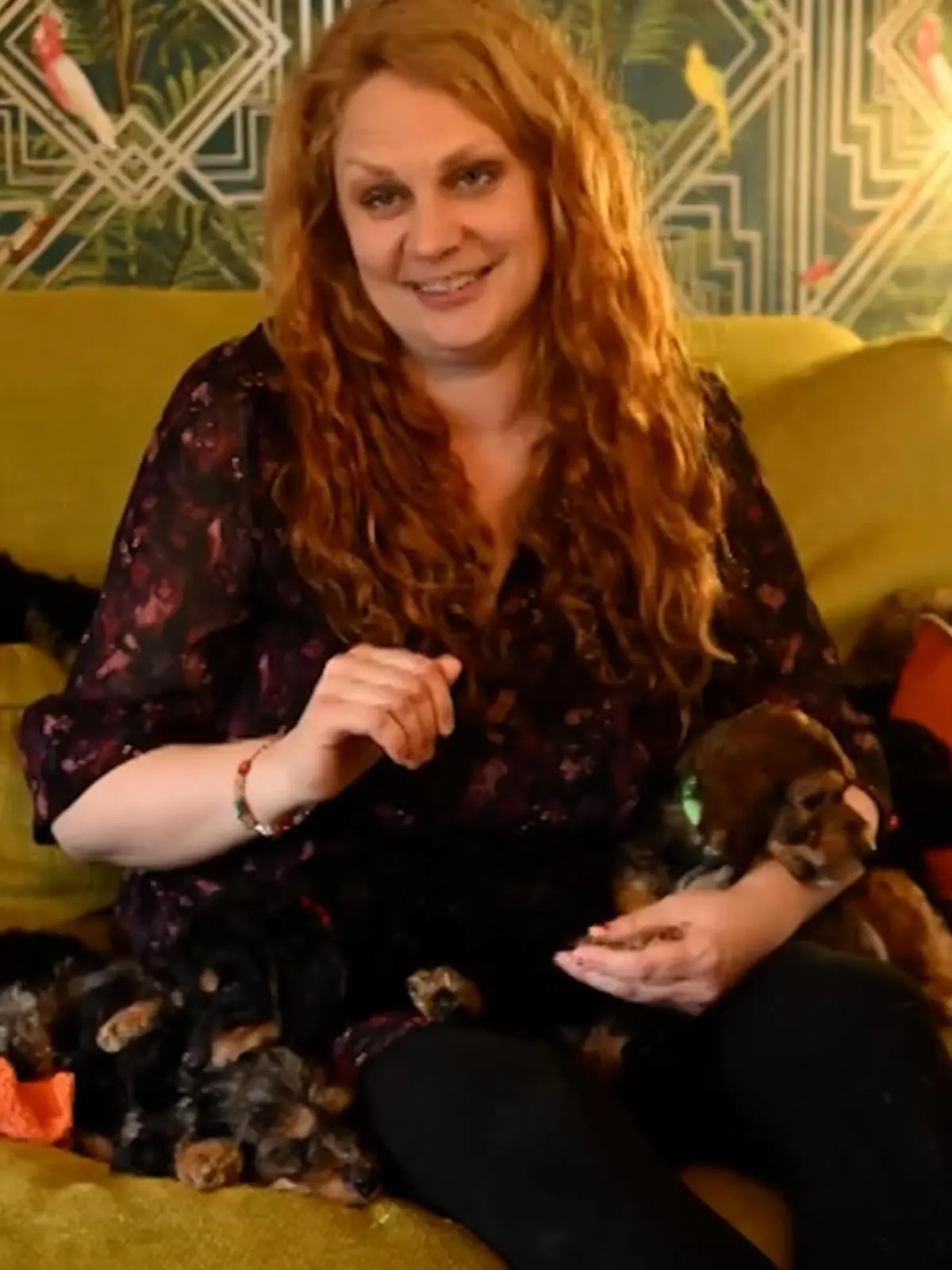 Bild zu: "Rekord-Wurf! Diese seltenen Hundewelpen machen Miranda (42) schwerreich"