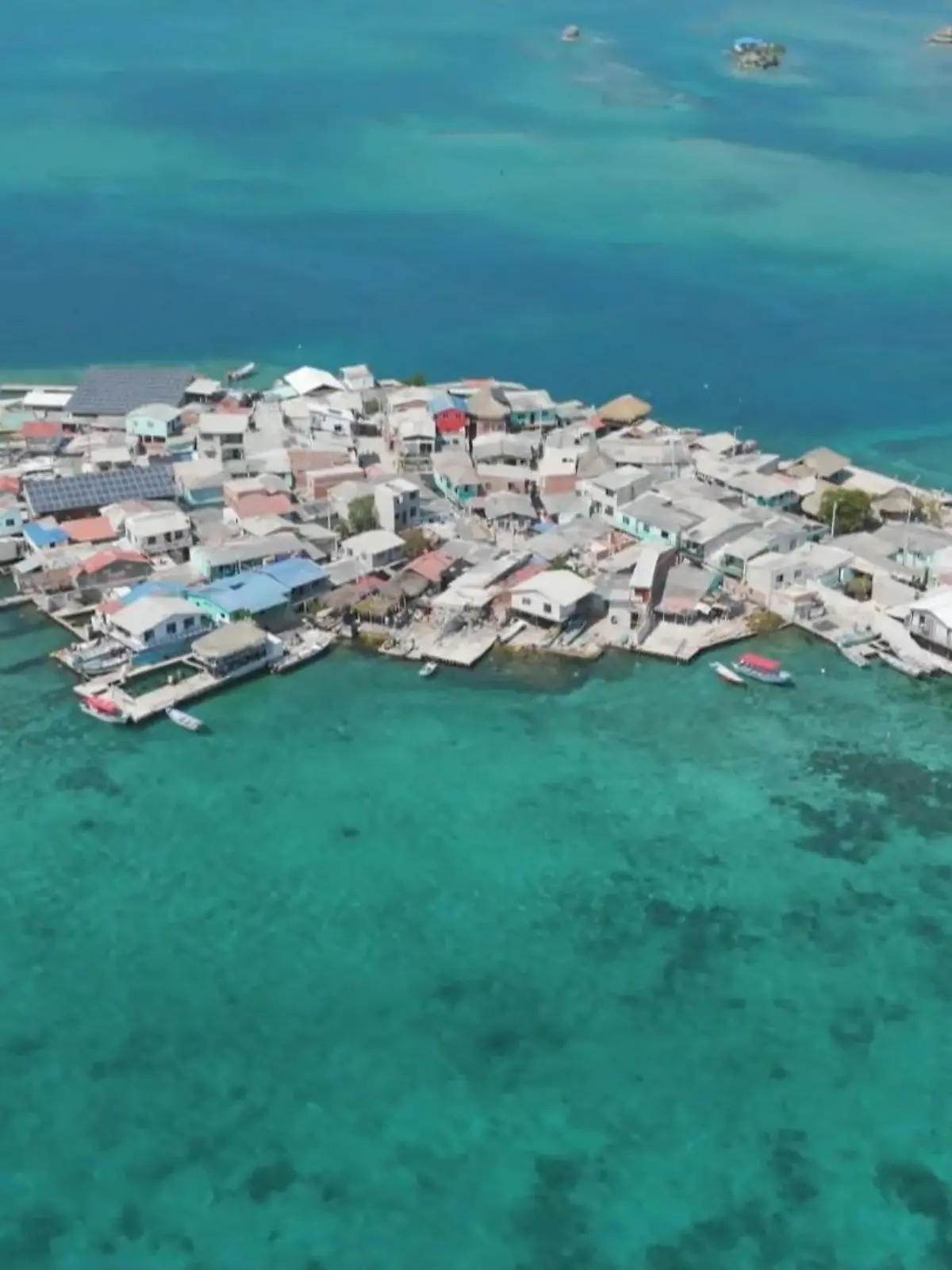 Bild zu: "Die vollste Insel der Welt"