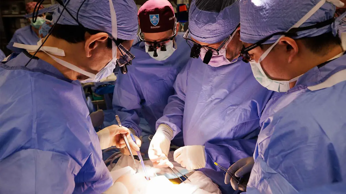 Nach 271 Tagen mit einer Schweineniere bekommt Tim Andrews wieder eine menschliche eingesetzt.