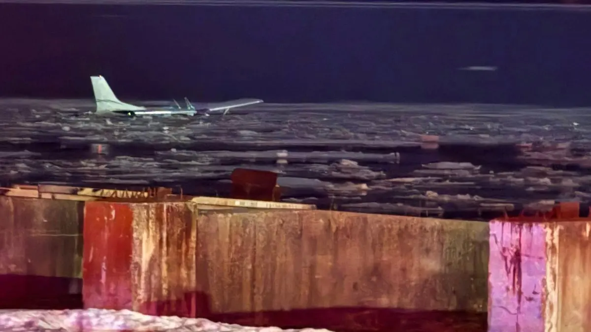 Insassen schwimmen nach Absturz an Land