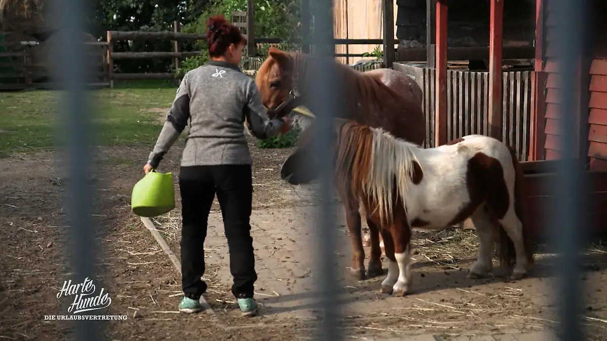 Ralf Seeger greift ein: Rettung für Conny und den Hof 4 Jahre ohne Urlaub