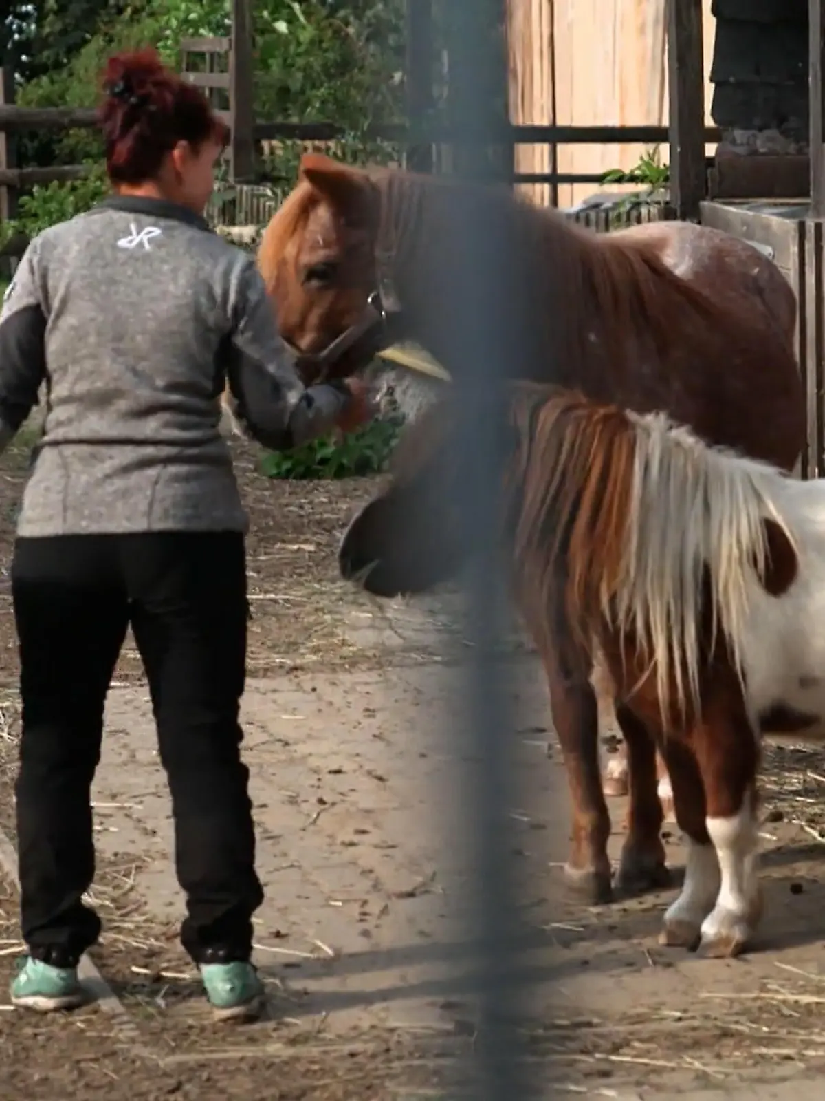 Bild zu: "Ralf Seeger greift ein: Rettung für Conny und den Hof"