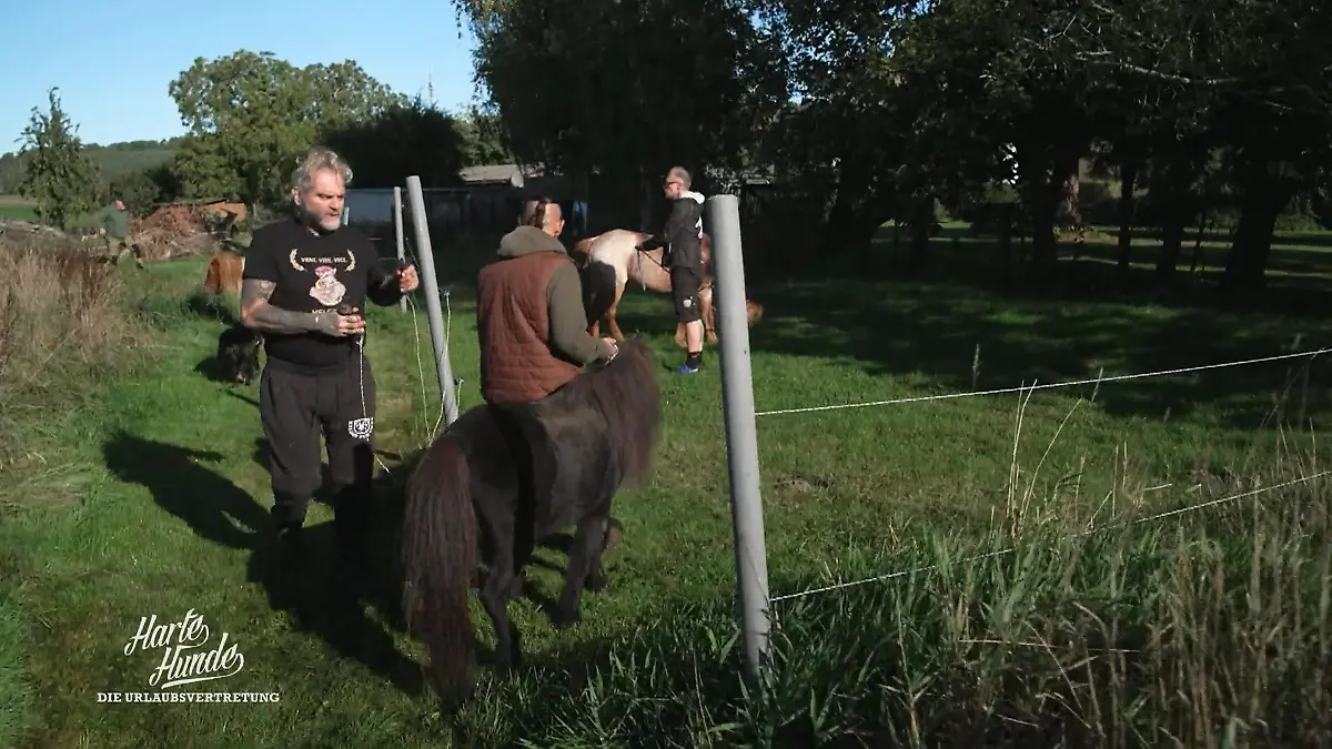Ralf Seeger legt los: Bewährungsprobe auf dem Hof Conny ist weg – jetzt wird’s ernst