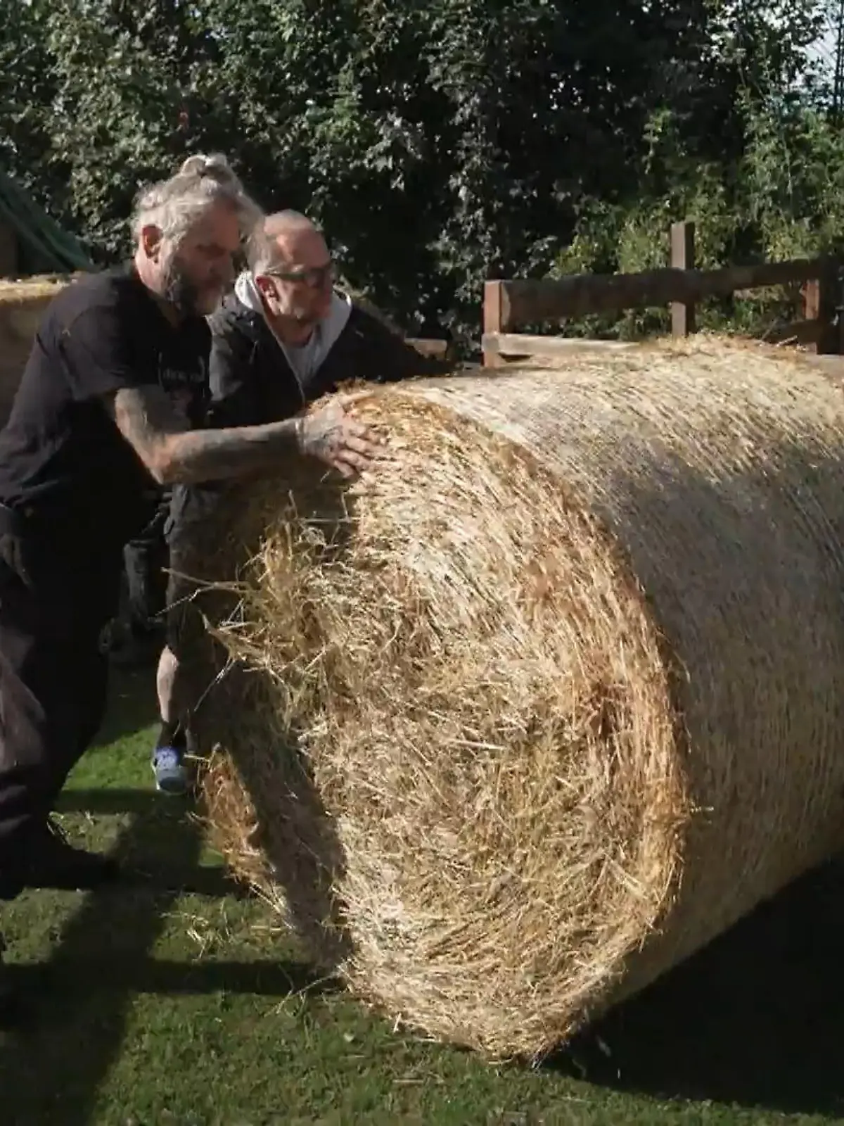 Bild zu: "Heuballen-Action: Jetzt zählen die Muskeln der 'Harten Hunde'"