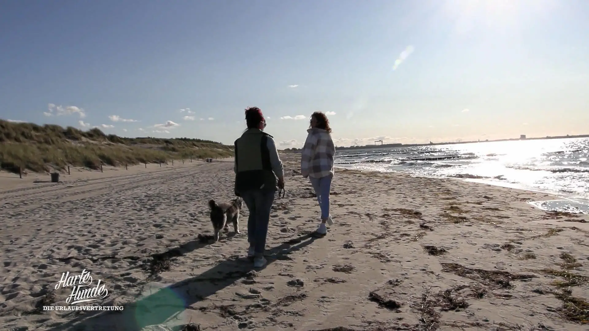 Strand statt Stall: Auszeit mit Hund und Antje Conny atmet endlich durch