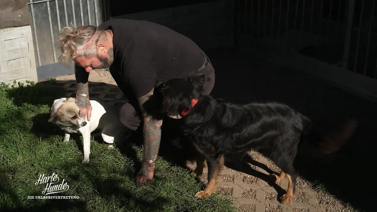 Pixie & Ilka: Schaffen sie den Schritt zurück zum Menschen? Vertrauen ist hier alles