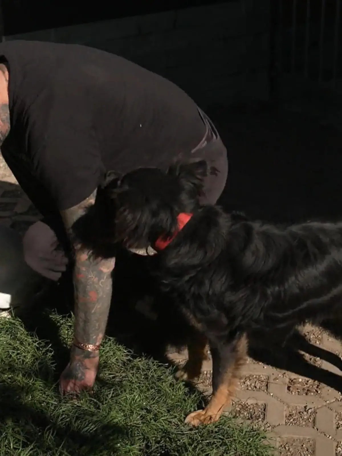 Bild zu: "Pixie & Ilka: Schaffen sie den Schritt zurück zum Menschen?"