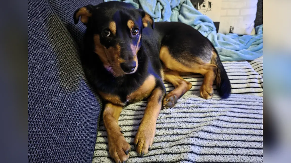 Der kleine Milow wird nur neun Monate alt