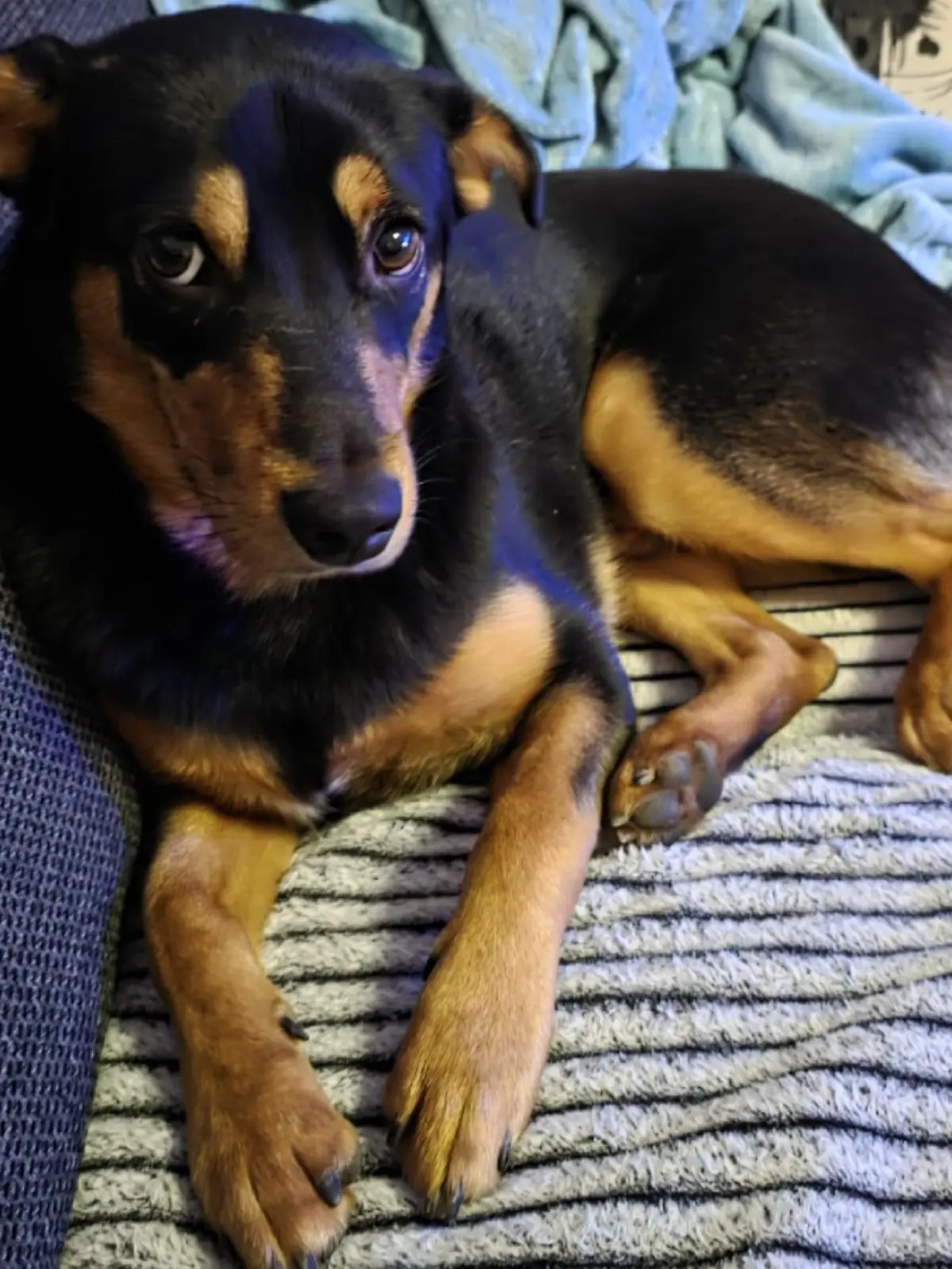 Der kleine Milow wird nur neun Monate alt