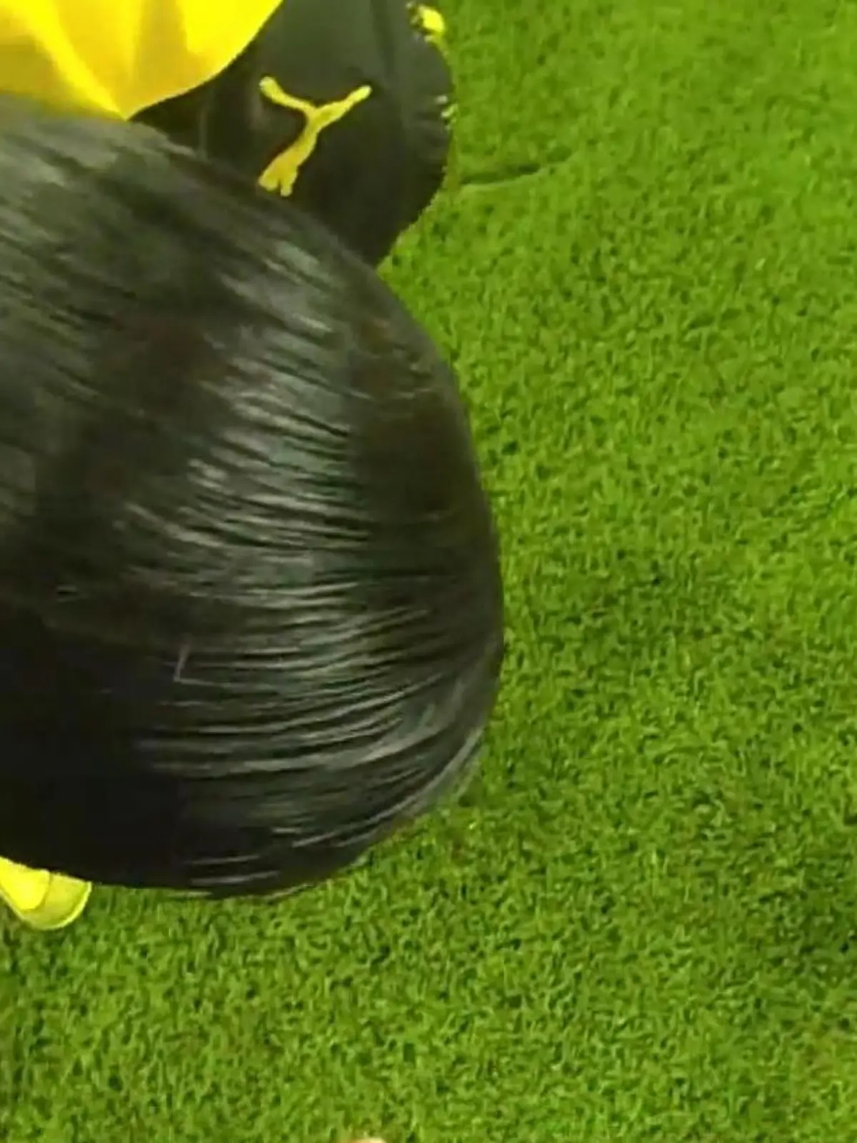 Bild zu: "Beim Klassiker BVB vs. FC Bayern! Bundesliga-Schiedsrichter spricht plötzlich Türkisch"