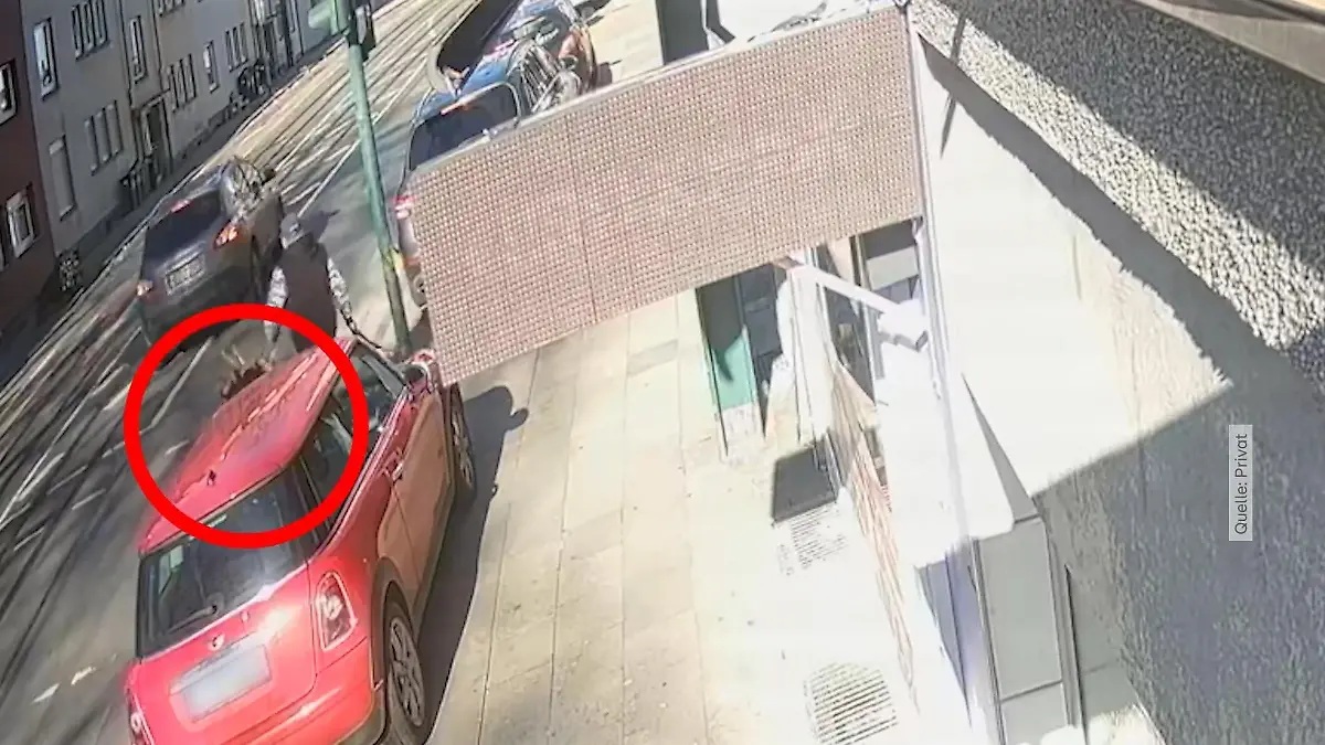 Hund in Essen totgefahren Überwachungsvideo zeigt Vorfall