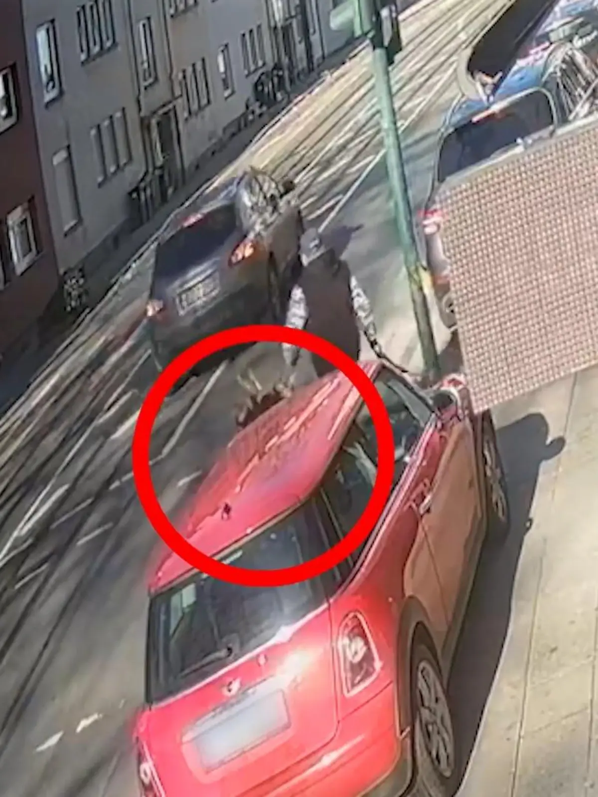 Bild zu: "Hund in Essen totgefahren"