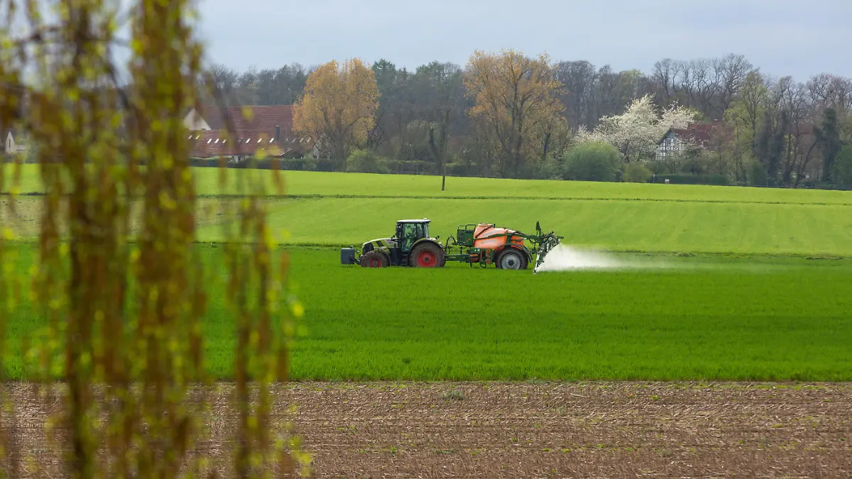 Landwirt versprüht krebserregendes Glyphosat, Unkrautvernichtungsmittel auf sein Feld