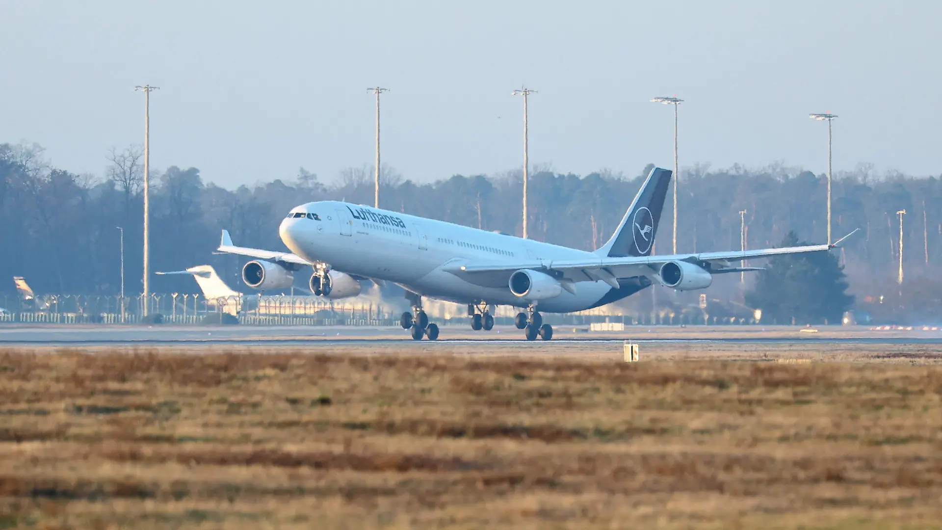Der erste Evakuierungsflug der Bundesregierung ist in Frankfurt gelandet.