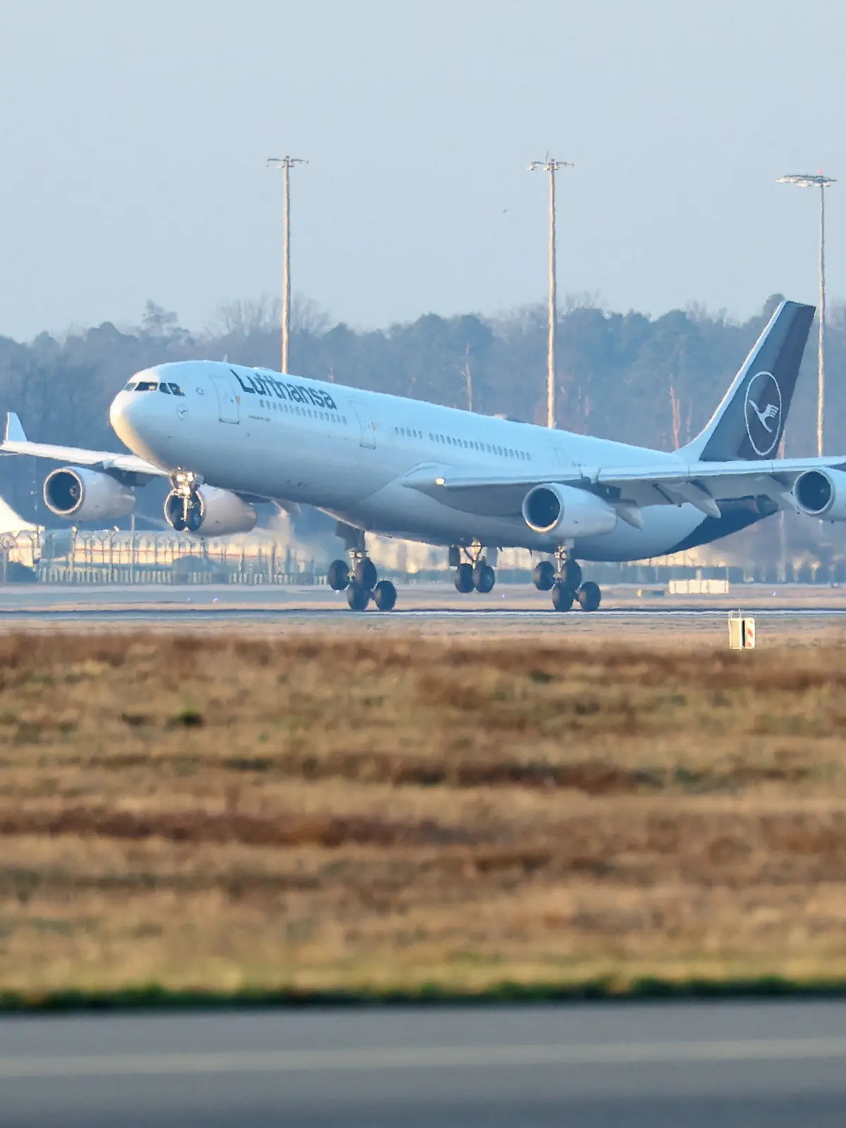 Bild zu: "Schwangere, Kinder und Kranke zuerst – erster deutscher Evakuierungsflug gelandet"