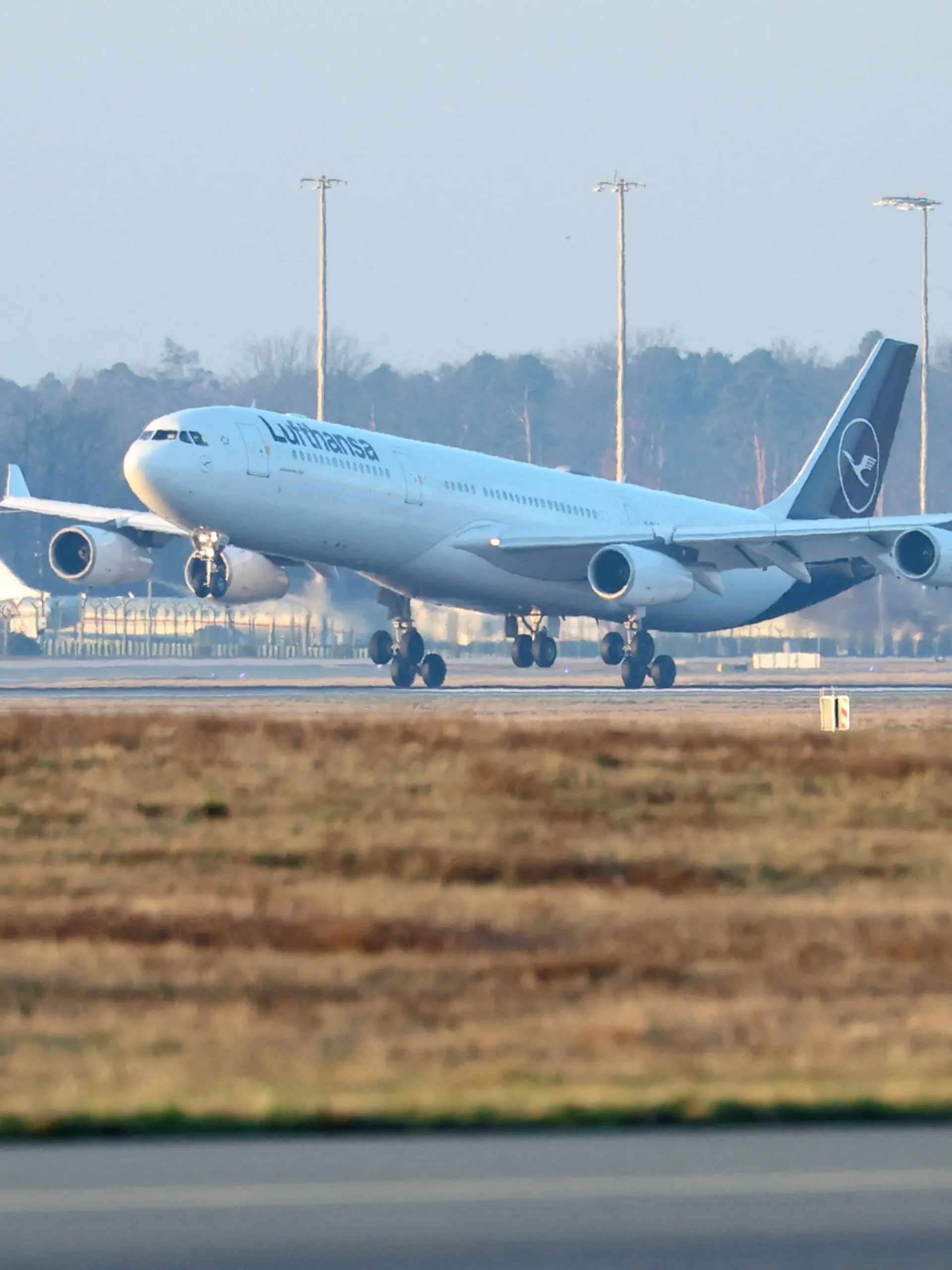 Bild zu: "Schwangere, Kinder und Kranke zuerst – erster deutscher Evakuierungsflug gelandet"