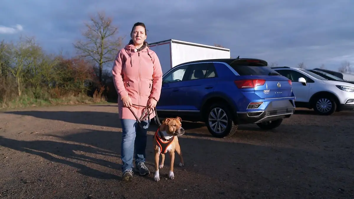 Trainingstag für Kraftpaket Geronimo Neuanfang mit Hindernissen
