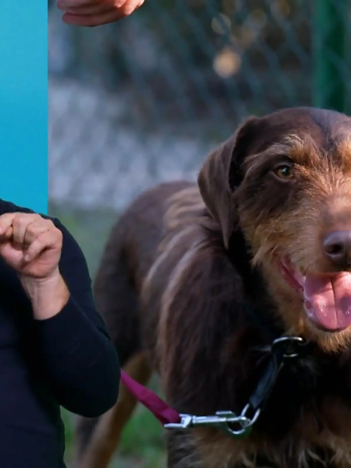 Bild zu: "Kann Messi seine Jagdwut ablegen?"