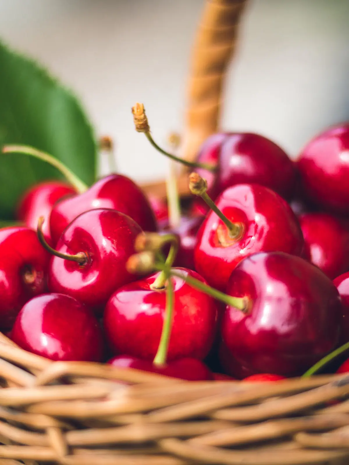 Tipps für frische Kirschen