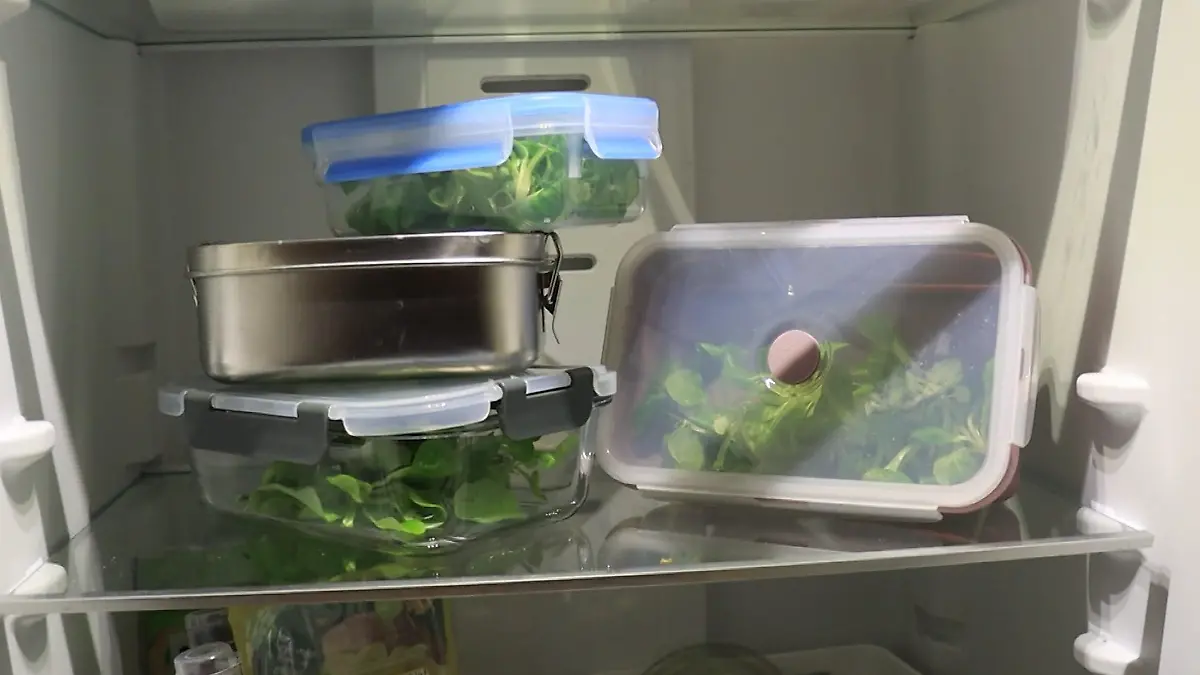 Lunchboxen im Test: Welche hält frisch und dicht? Glas, Kunststoff oder Edelstahl?