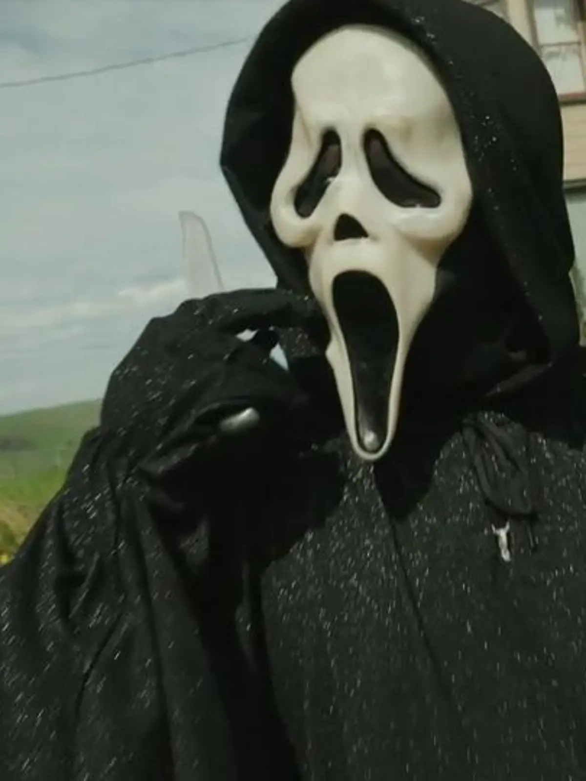 Bild zu: "Hype um Horrorfilmreihe"