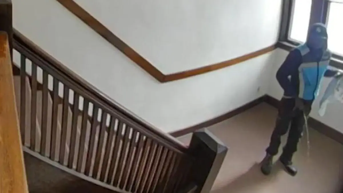 Ins Treppenhaus gepinkelt! Kamera filmt alles und entlarvt Ekel-Lieferanten Amazon entschuldigt sich