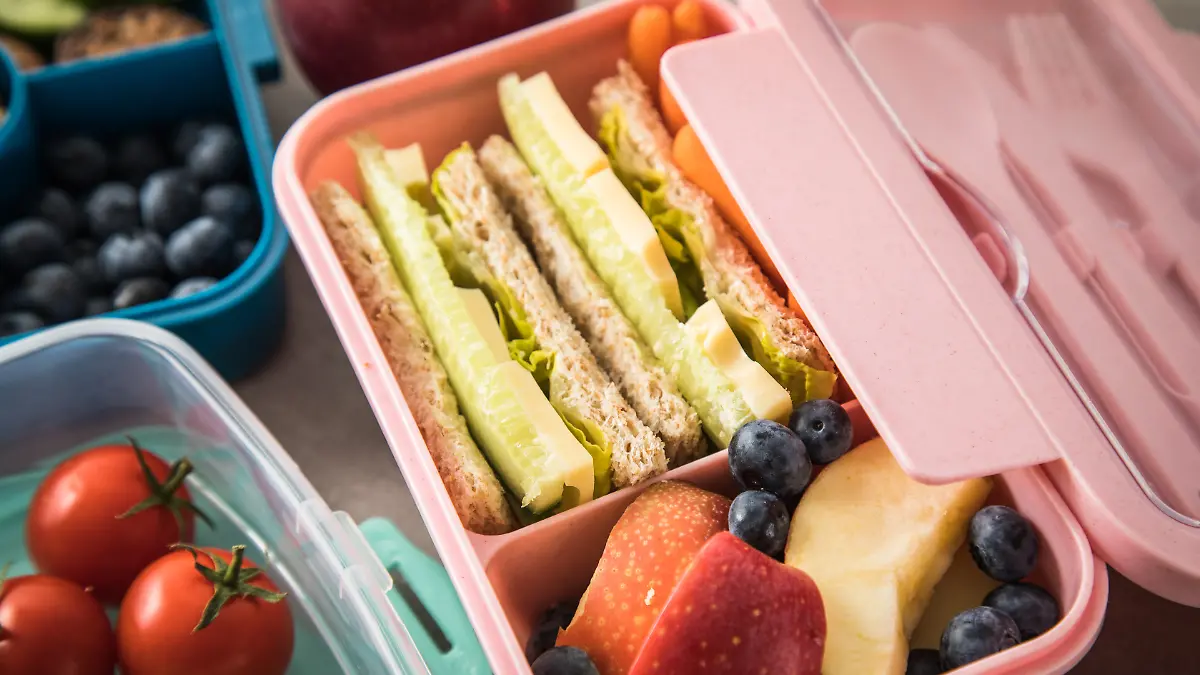 ILLUSTRATION - Eine Brotdose mit Vollkorn-Toast (belegt mit Gurkenstreifen, Maasdammer Kaese und Salat), dazu Blaubeeren und Apfelschnitze ist am 25.08.2023 in Wittenberge zu sehen (gestellte Szene). Foto: Christin Klose